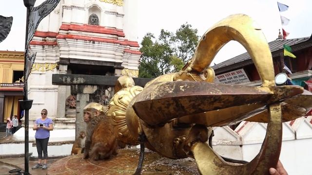 Holy (terror??) Monkeys!! Swayambhunath Kathmandu Nepal | Monkey Temple смотреть онлайн