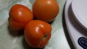 Обзор, дегустация и взвешивание томата ф1 Оля (видео от 1 августа 2021)