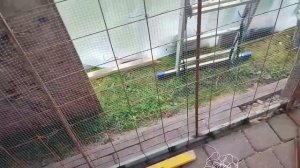 Беседка из Арт Бетона Своими руками. Часть 2. Каркас стен, черновой слой