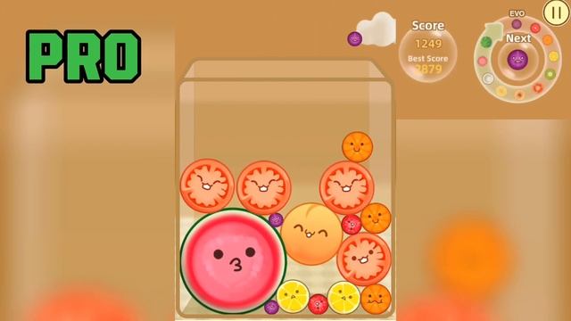 WATERMELON GAME - NOOB vs PRO vs HACKER [Suika Game] смотреть онлайн