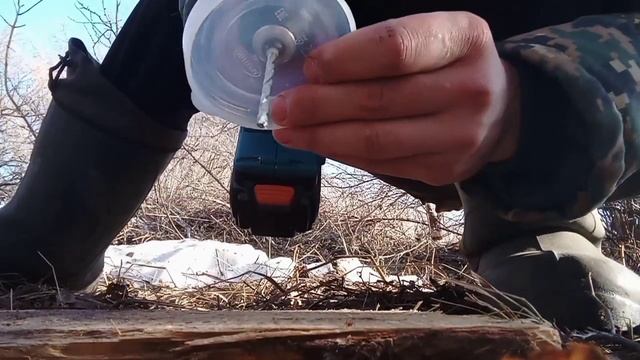 Грибные уроки