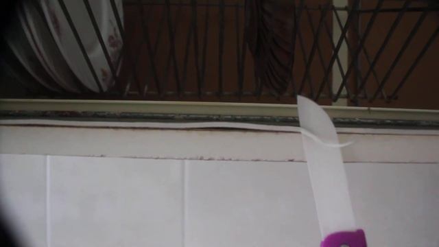 Домовладелец Pro