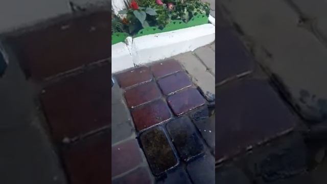 Покрытие тротуарной плитки лаком для камня смотреть онлайн