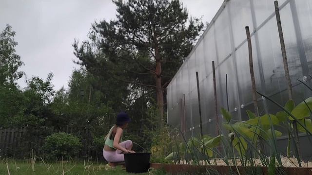 Дачные хлопоты!🏡