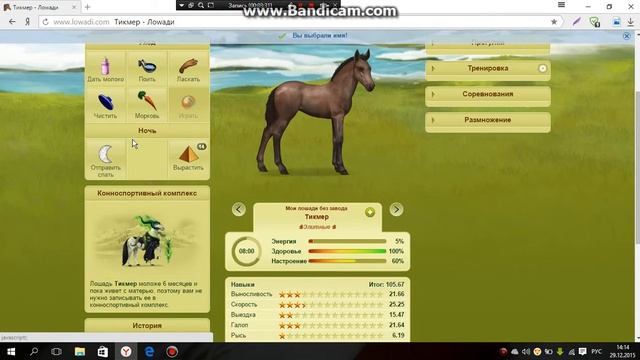 Играем в ловади #7 Роды кобыл с: смотреть онлайн