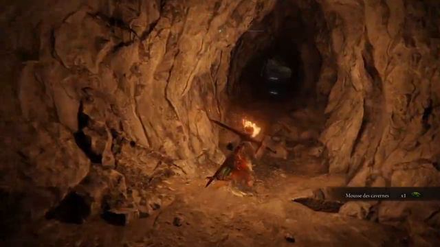 Cendres de guerre légendaire et fin de zone | Guide 100% Necrolimbes | Elden Ring Guide Débutant FR смотреть онлайн