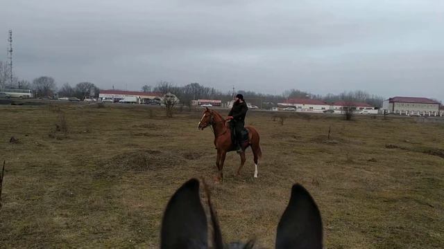 Всадники Алхан-Юрта 04.02.2019(8) смотреть онлайн