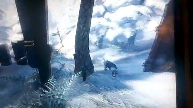 Fable 3 weird glitch смотреть онлайн