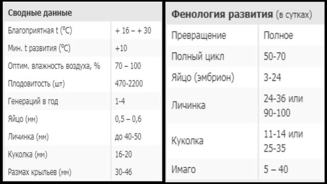 ✔ Подгрызающие совки. Меры борьбы и профилактики против совки. смотреть онлайн