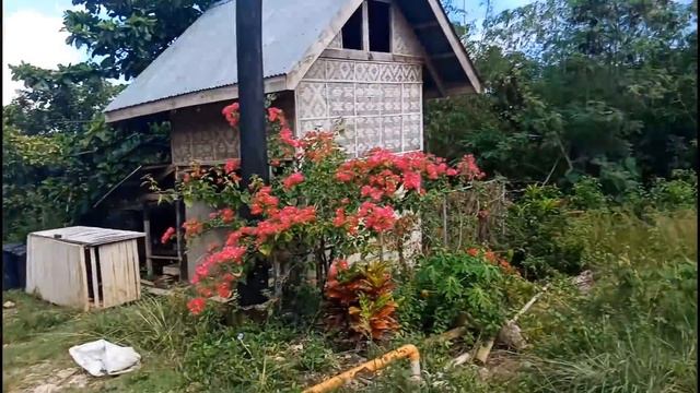 ФИЛИППИНЫ. Новые участки земли на продажу - смотрим, обсуждаем, оцениваем - Жизнь на Филиппинах смотреть онлайн