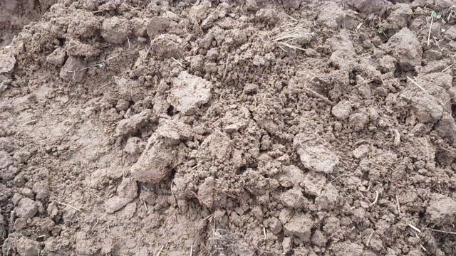 Коп на не выбитом поле с Гаррет Ат Про!!! смотреть онлайн