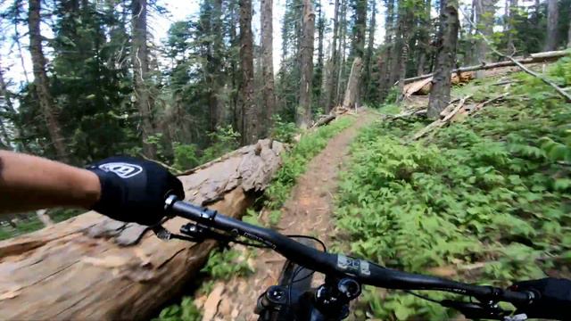 Bernard Peak MTB 2018 // Downhill смотреть онлайн