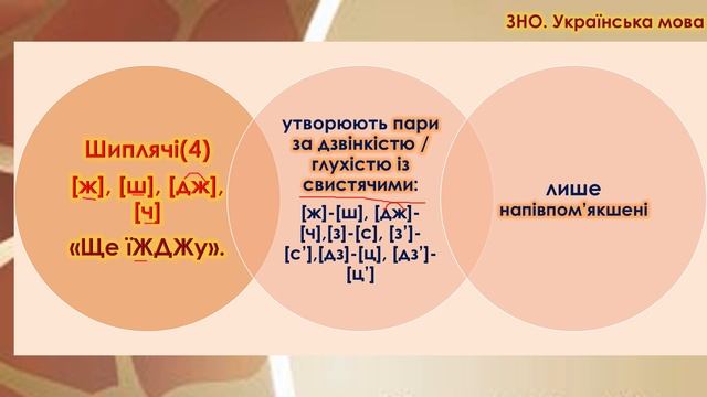 Приголосні звуки