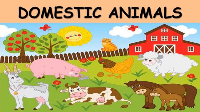 Animals, Animals For Kids, Wild Animals, Domestic Animals, Animals with Pictures , Learn Animals смотреть онлайн