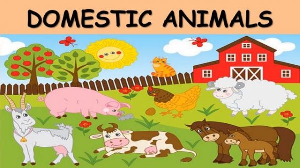 Animals, Animals For Kids, Wild Animals, Domestic Animals, Animals with Pictures , Learn Animals