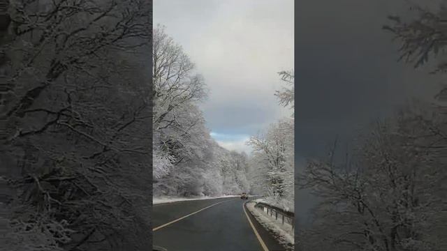 Адыгея смотреть онлайн