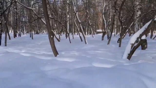 Любовь спасет мир - это цивилизационный код для всех живущих на Земле. смотреть онлайн