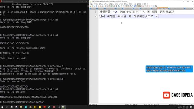 Perl Bioinformatics l Perl 프로그램 4강 기초연습 смотреть онлайн