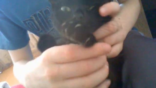 страшные мучения! смотреть онлайн