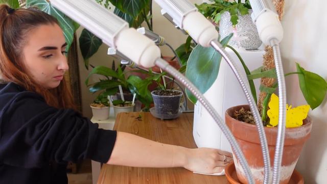 Working at a RARE Plant Shop Pt. 2 | Plant Chores and Mini Plant Haul смотреть онлайн