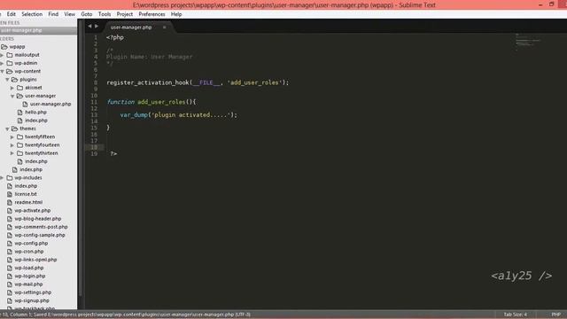 wordpress development - plugin register activation hook смотреть онлайн