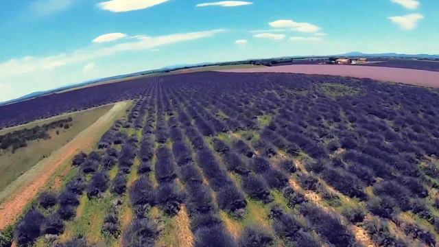 Lavender long range | amazing colors | 8 inch | iflight xl10 | xing 2806.5 | смотреть онлайн