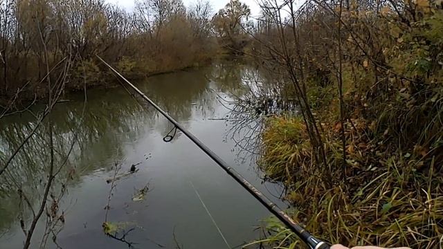 Как ловить, если Не Клюёт ??? Щука на спиннинг!!! смотреть онлайн