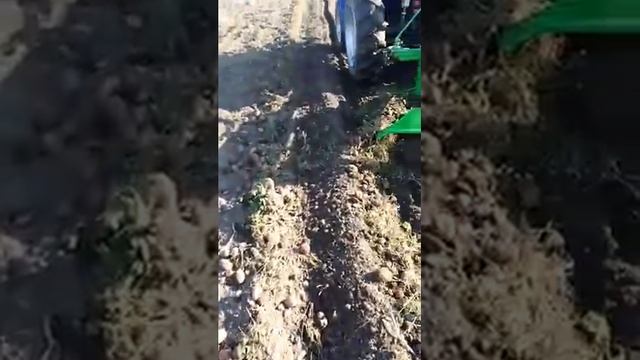Копаєм картоплю, копалка бомет смотреть онлайн