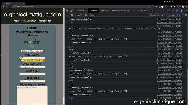 JavaScript548-React.js-Fiche Utilisateur-Prendre en compte le focus et l'input invalide смотреть онлайн