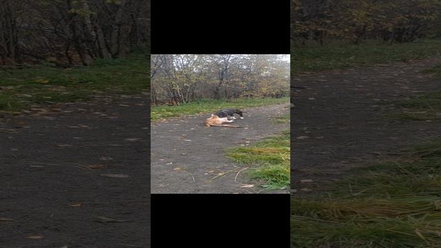 Стафф + стафф =