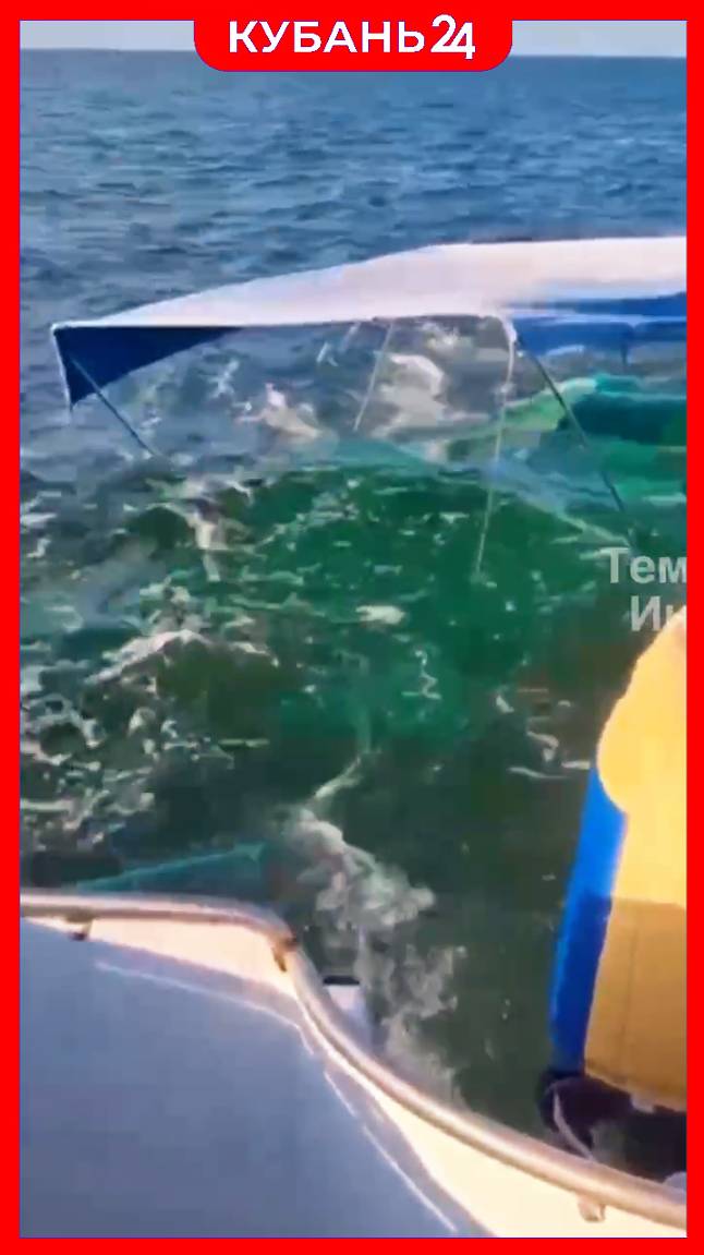 Катамаран ушел под воду с отдыхающими в Темрюкском районе смотреть онлайн