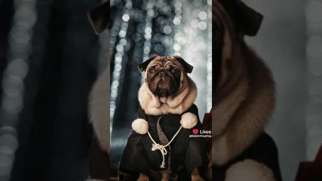 Like_7298720694996224718.mp4 смотреть онлайн