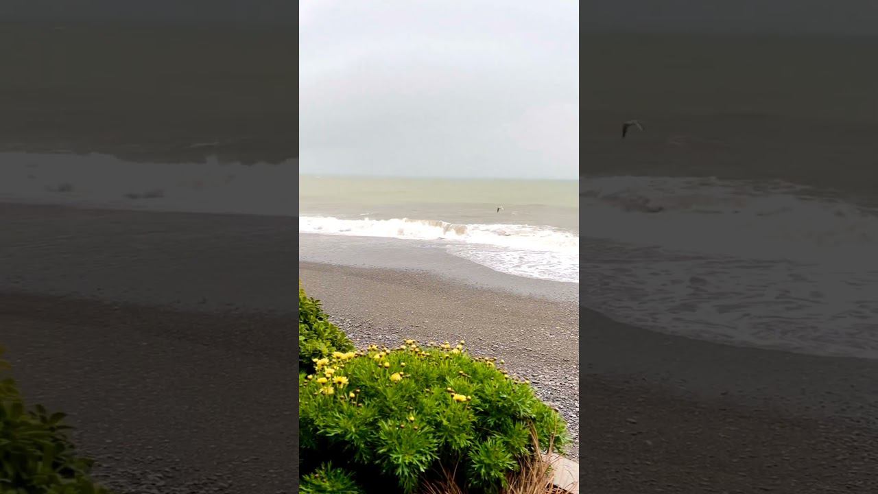 20.02.23 г.Погода Лазаревское #погодасочи #погодалазаревское #сочи2023 #сочифорния #лазаревское смотреть онлайн