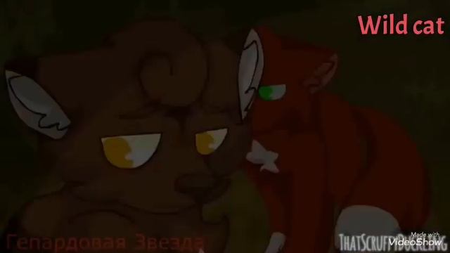 Коты воители клип:cуицыдница смотреть онлайн