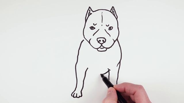 How to Draw Pitbull Puppy Easy смотреть онлайн