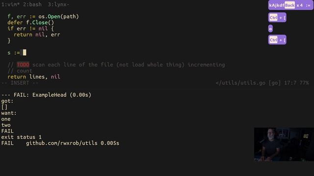 ⚡ let's code UNIX head/tail commands in Go смотреть онлайн