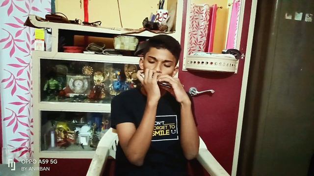 Titanic song cover by Anirban in mouth organ #mouthorgan #titanic смотреть онлайн