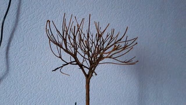 помогите спасти Азалию смотреть онлайн