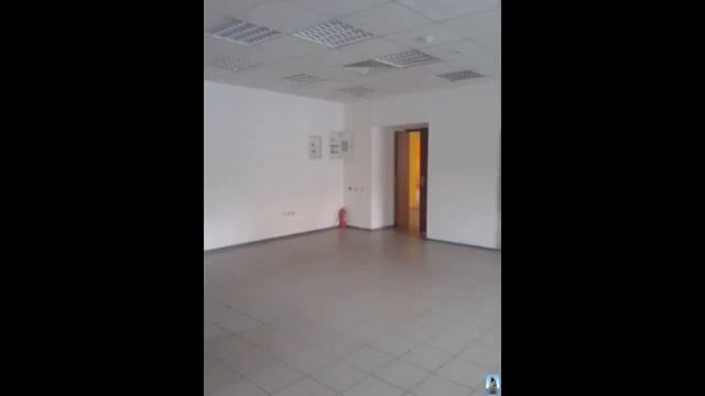 Помещение для торговли и офиса в Центральном районе смотреть онлайн