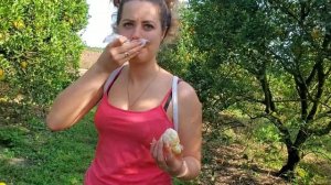 Американская Ферма Собираем урожай в США Флорида Натуральный МЕД и домашняя консервация в Америке