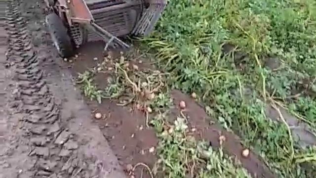 Rossel 242 + Л-651 смотреть онлайн