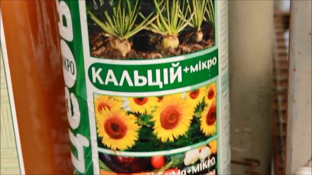 Важные элементы питания , Кальций и Магий смотреть онлайн