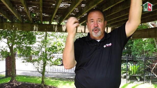 How to Get Rid of Carpenter Bees (3 Easy Steps) смотреть онлайн