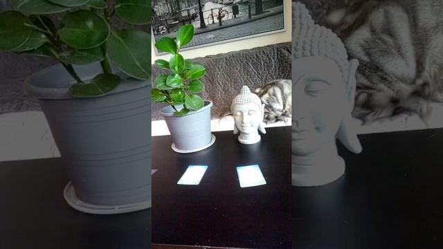 CAPRICORN ♑ Angel Oracle Messages ? - October 1st DIVINE TIMING IS AT WORK IN YOUR LIFE!! ?? смотреть онлайн