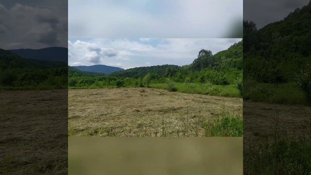 Участок ЛПХ в районе поселка Октябрьский Туапсинского района.