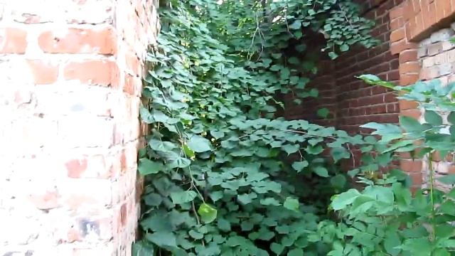 Как хулиганы мешали снимать видео в деревне Финьково смотреть онлайн