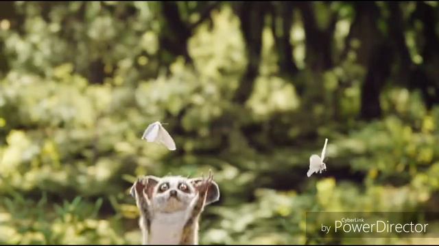 The Lion Sleeps Tonight The Lion King