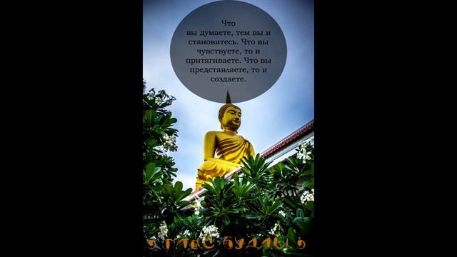 То что не оставит тебя равнодушным... Будда