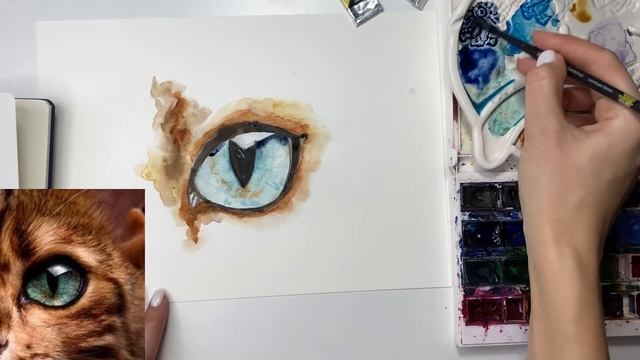 Рисуем глаз кота акварелью смотреть онлайн