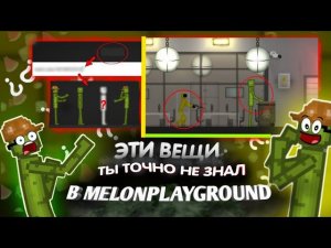 ЭТИ ВЕЩИ ТЫ ТОЧНО НЕ ЗНАЛ В MELONPLAYGROUND...